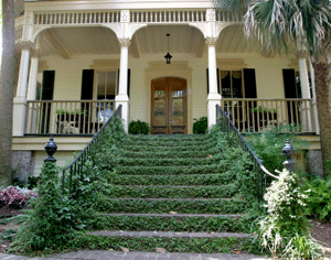 Front steps of a home